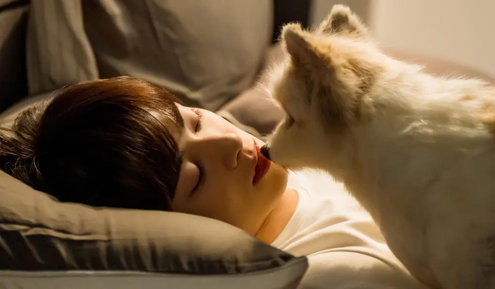 11 doramas 'diferentões' para maratonar agora
