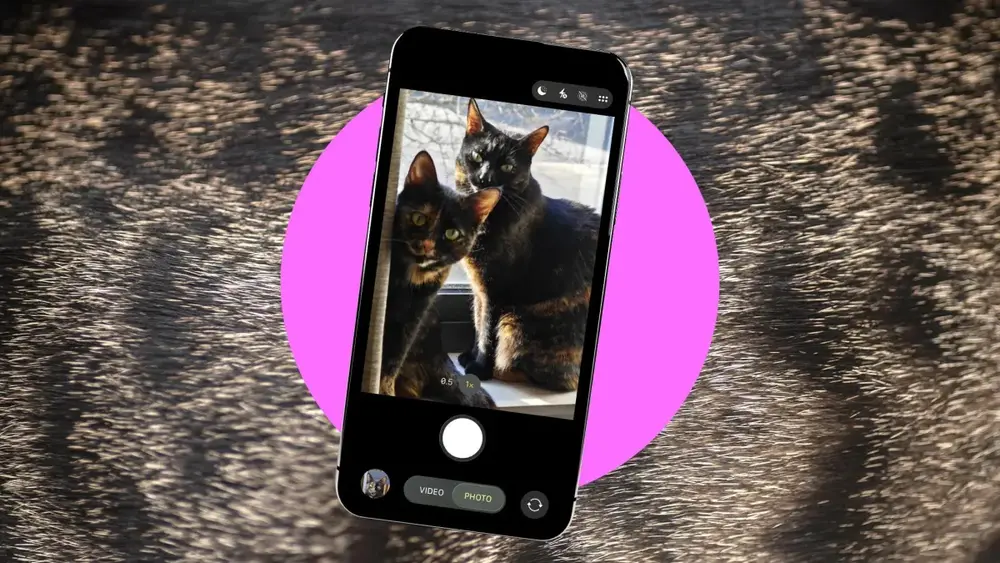 Como fotografar melhor seus animais de estimação