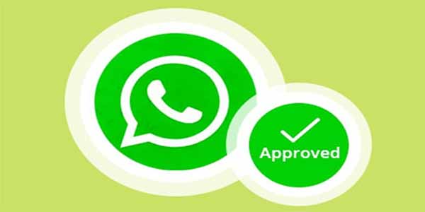 WA Green Tick - Como fazer uma verificação verde no WhatsApp mais recente